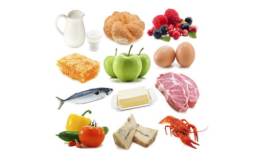 餐饮管理公司注册要求及所需资料